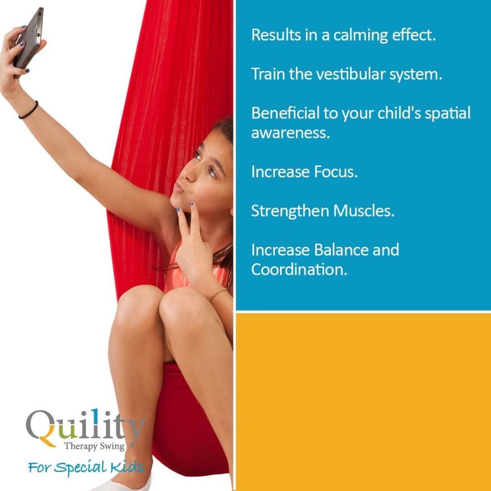 Indoor Therapy Swing for Kids - Picture 2 of 5